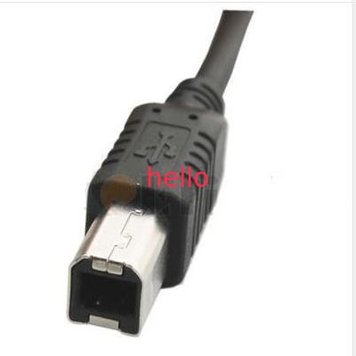 مرد به B مرد نقل و انتقالات کابل USB انتقال داده کابل رای تا 480Mbps